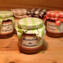 Marmelade de clémentines